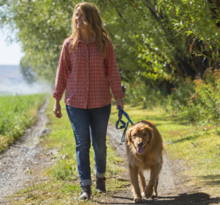 Woman walking a dog outdoors on a sunny day
