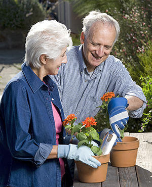 Man and woman gardening together.